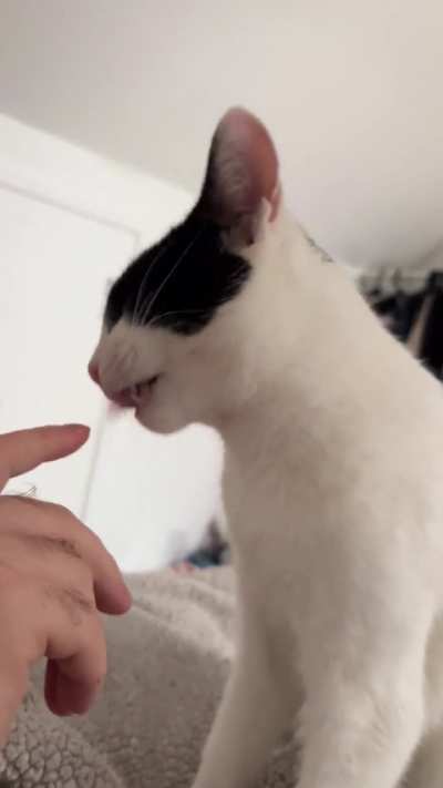 Besns likes to chew on fingers&hellip;.?