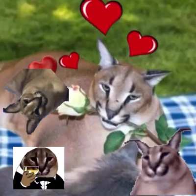 Happy Valentines Day!