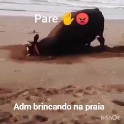 🖐️😎