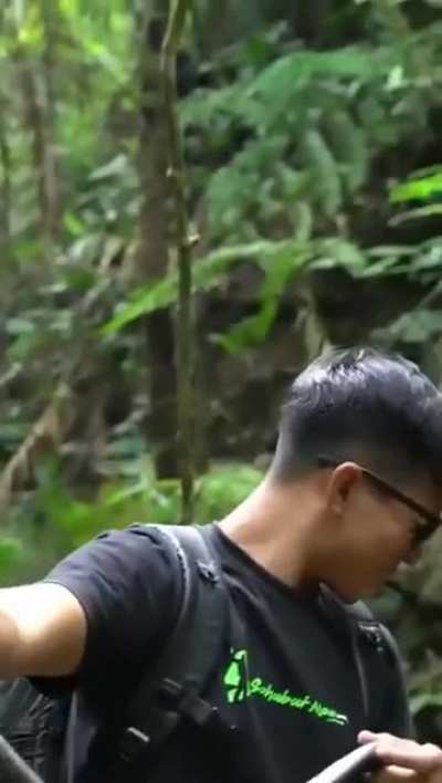 Guys thinks it&rsquo;s cool to play with a snake