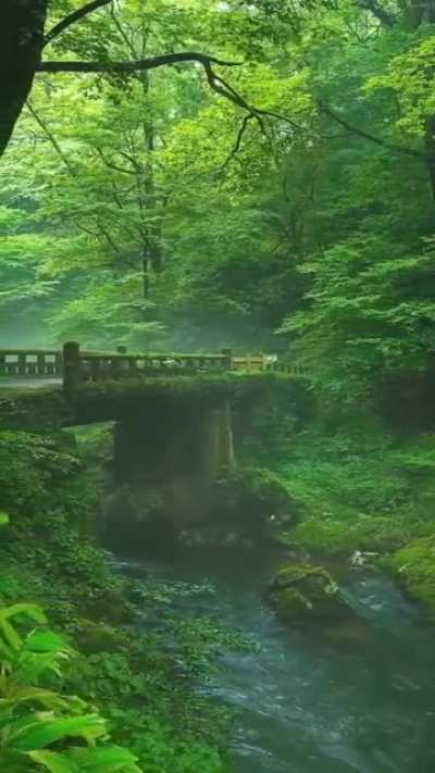 Feel the awesomeness of the nature
