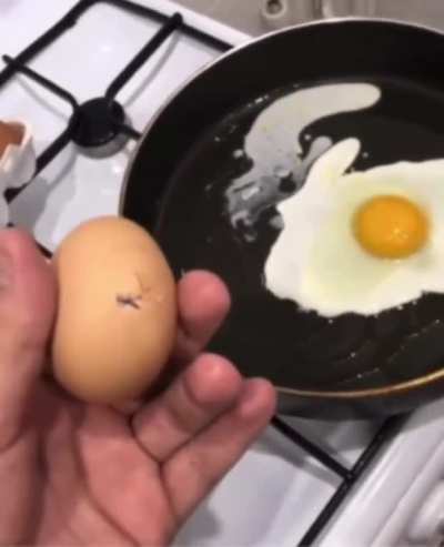 Приколист