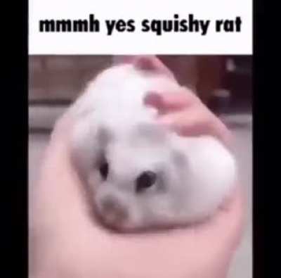 It’s my cake day have this