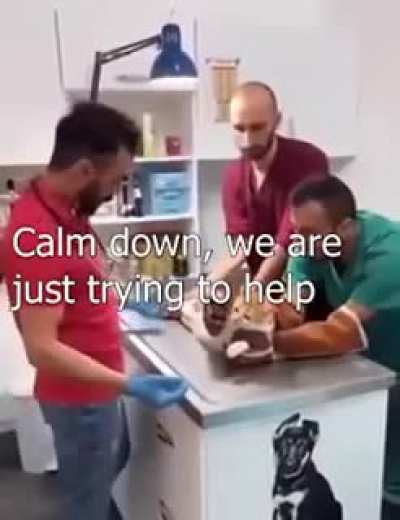 "Don't worry, a small procedure"