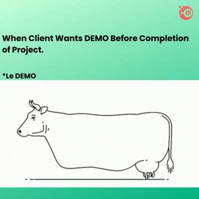 When a client requests a demo before the project is completed.