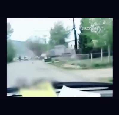 Ruledozer