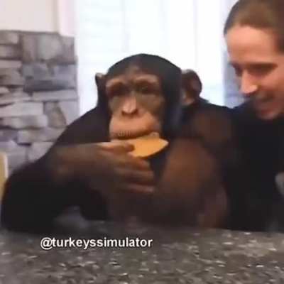 Fight Kul&uuml;p Monki Edişın