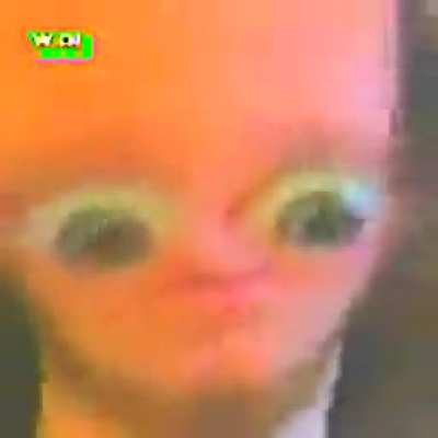 I fear this creation