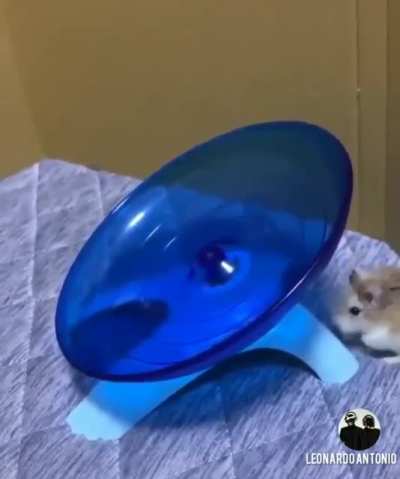 GOTTA GO FAST