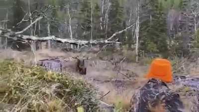 Hunter becomes the hunted