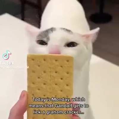 I&rsquo;m 15 and this is yeet