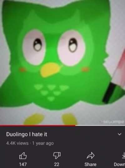 i hate Duolingo