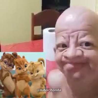 pppp