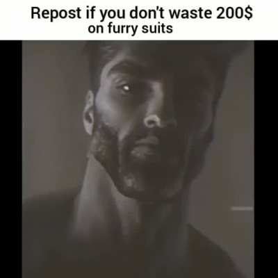 Furry bad