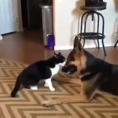 indecisive