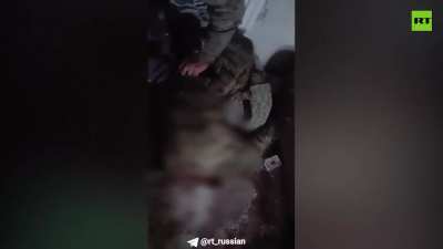 RU POV: 40th Naval Infantry Brigade "Kamchatka" Marines from the Vostok Group, combat operations to clear the villages of Novoukrainka and Shakhtyorskoye in the DPR. 