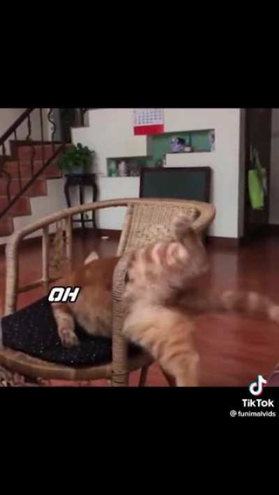 MEMES