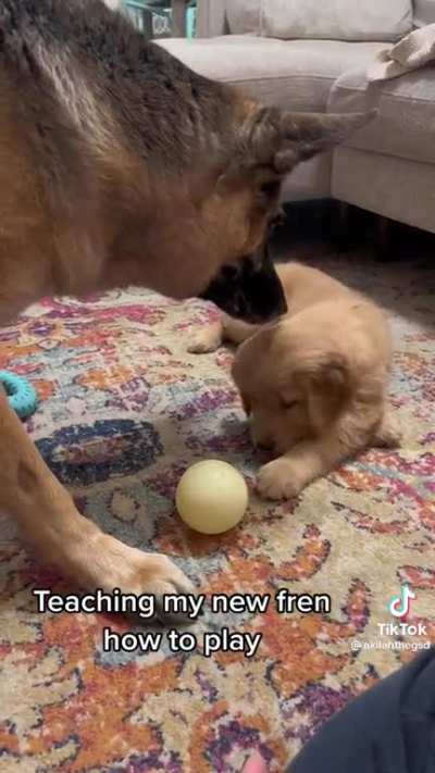 Sharing is caring.