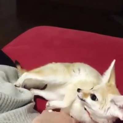 Illegally cute.