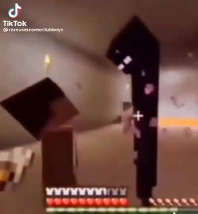 Enderman staring contest