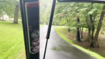 Saw a post in here yesterday of some dogs running full speed alongside a vehicle, and thought I&rsquo;d post a video of my buddy, Willy, racing me back to the house from the mailbox. We do this multiple times a day. He LOVES it!