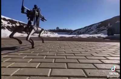 Guns on robots…