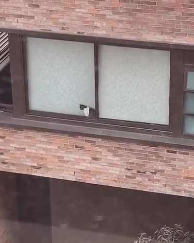 I always see her but she never looks my way. When will she see me?