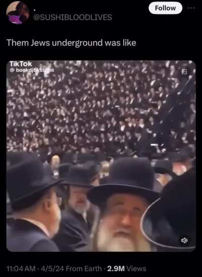 8 gold shekels like I'm Rabbi Ranks