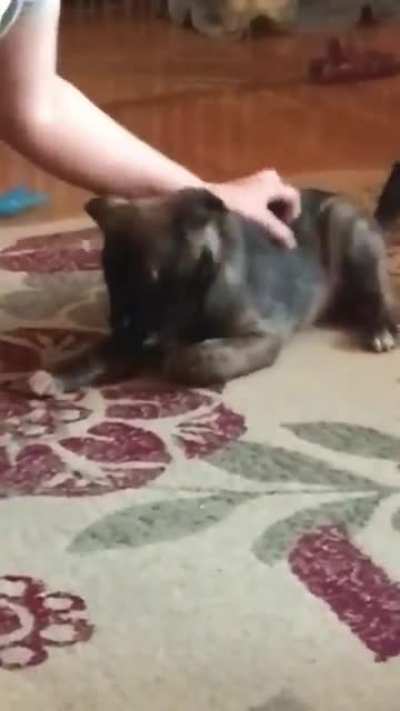 He tried to do a trick