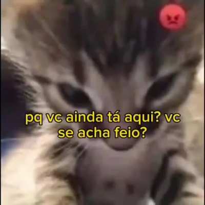 Pra vc ver