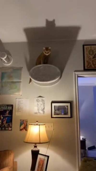 all hail kevin