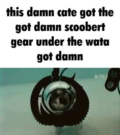 Scoobert rule