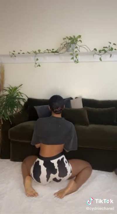 🐮