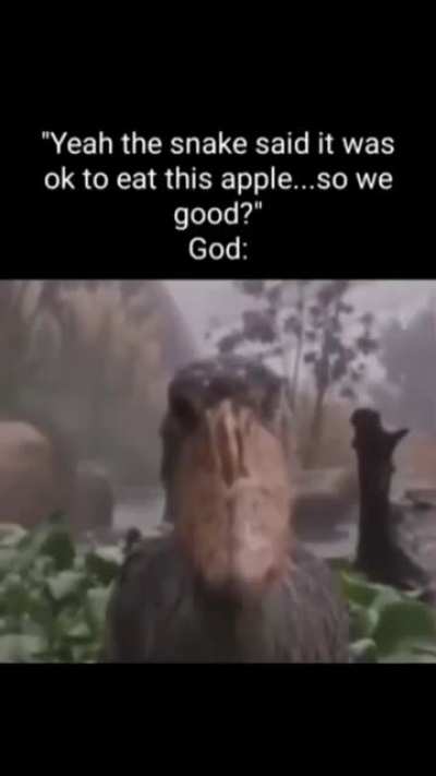 Betrayal