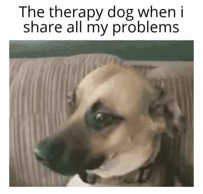 me_irl