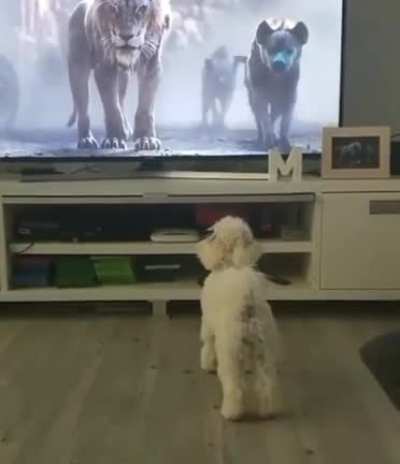 I got this&hellip; I got this&hellip; Screw this, I&rsquo;m out!