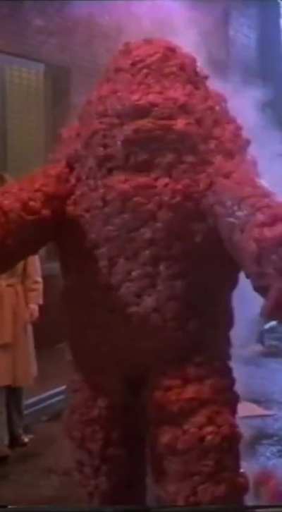 I am the meat
