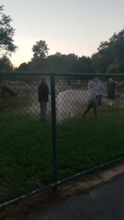 Women try to stop man from doing his job