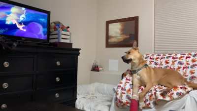 Finn hasn&rsquo;t figured out that cartoon dogs aren&rsquo;t real