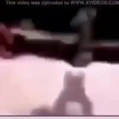 Monke go spinny