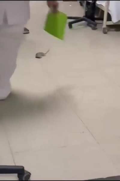 M&eacute;xico m&aacute;gico