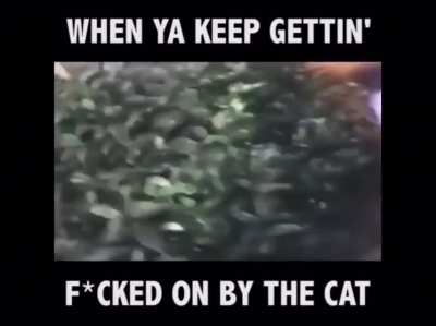 Rule