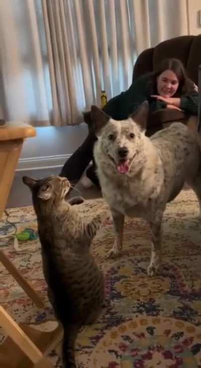 Strong in spirit