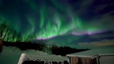 When you rent a cabin on the Norwegian Isle of Senja, this is what you see when you walk outside.