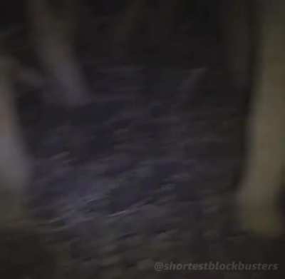 Peekaboo