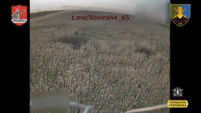 Ukrainian 65th Mechanized Brigade's 44th Battalion "Ronin" drone team targeted Russian infantry using FPV kamikaze drones, hitting several with close or direct hits
