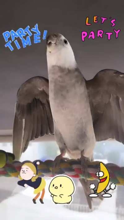 Party Chicken (that&rsquo;s his name) busting out &ldquo;September&rdquo; &amp;amp; &ldquo;Funky Town&rdquo; REMIX 🎉