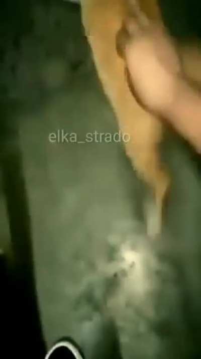 N&atilde;o tenho o link