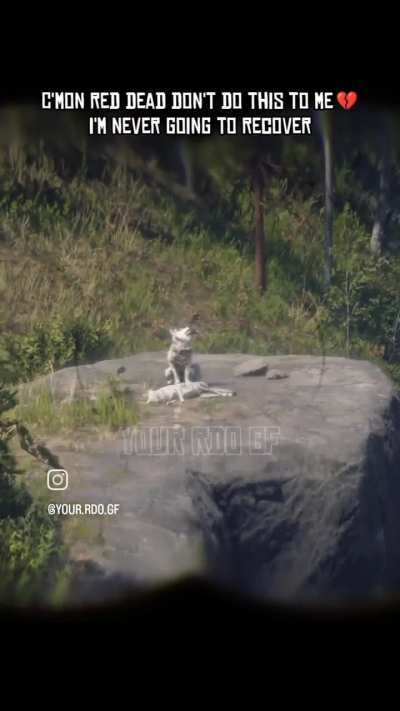 An Amazing Detail But Pretty Sad