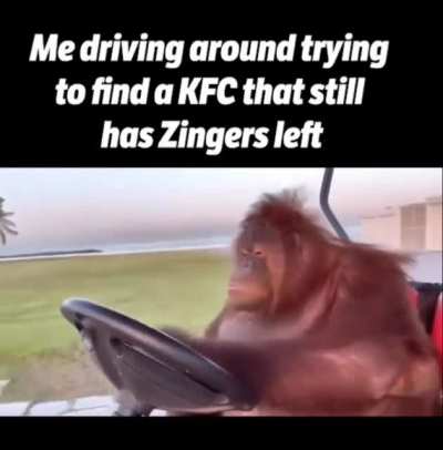 Can't find them...